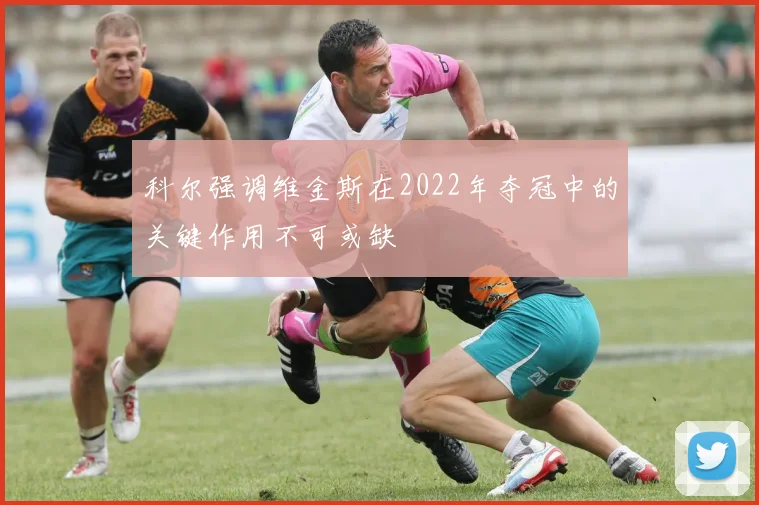 科尔强调维金斯在2022年夺冠中的关键作用不可或缺